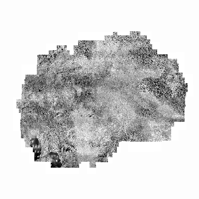 Export Image