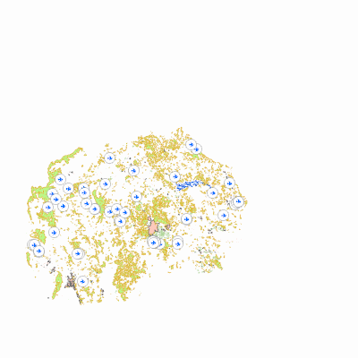 Export Image